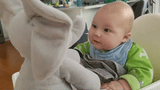 🐘 Evana – The Peek-a-Boo Singing Elephant Plushie!