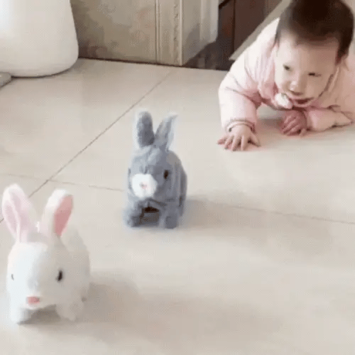Hopster Bunny™