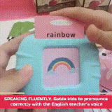 DW™ Talking Flash Cards Toy
