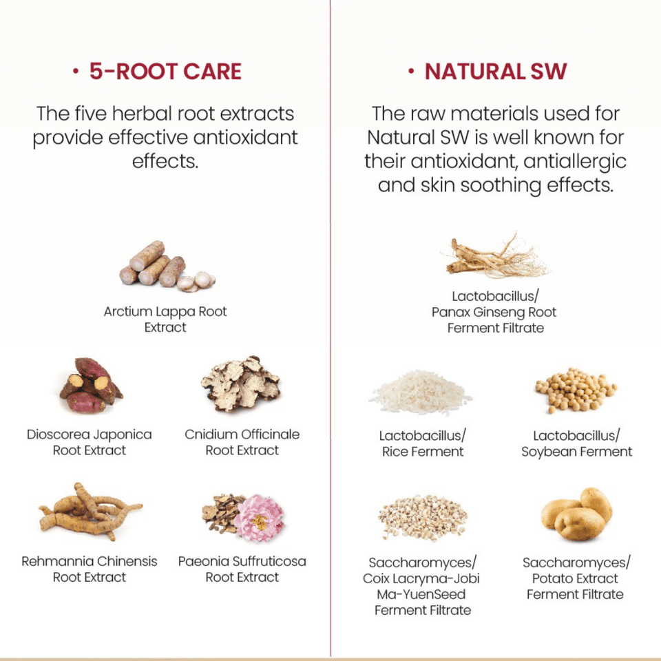 DW™ Seoul 1988 | Collagen Boosting Sun Cream