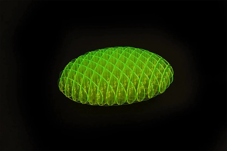 Worm Fidget Toy