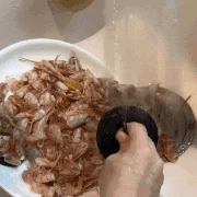 DW™ Suction Cup Sink Strainer