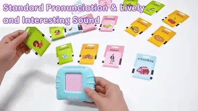 DW™ Talking Flash Cards Toy