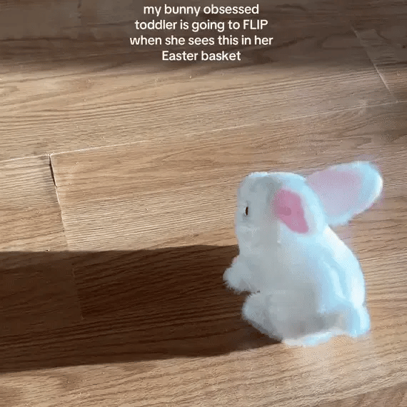 Hopster Bunny™