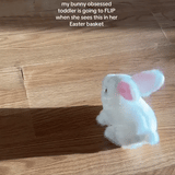 Hopster Bunny™