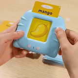 DW™ Talking Flash Cards Toy