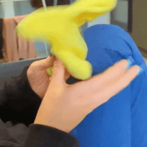 DW™ Angry Starface Toy