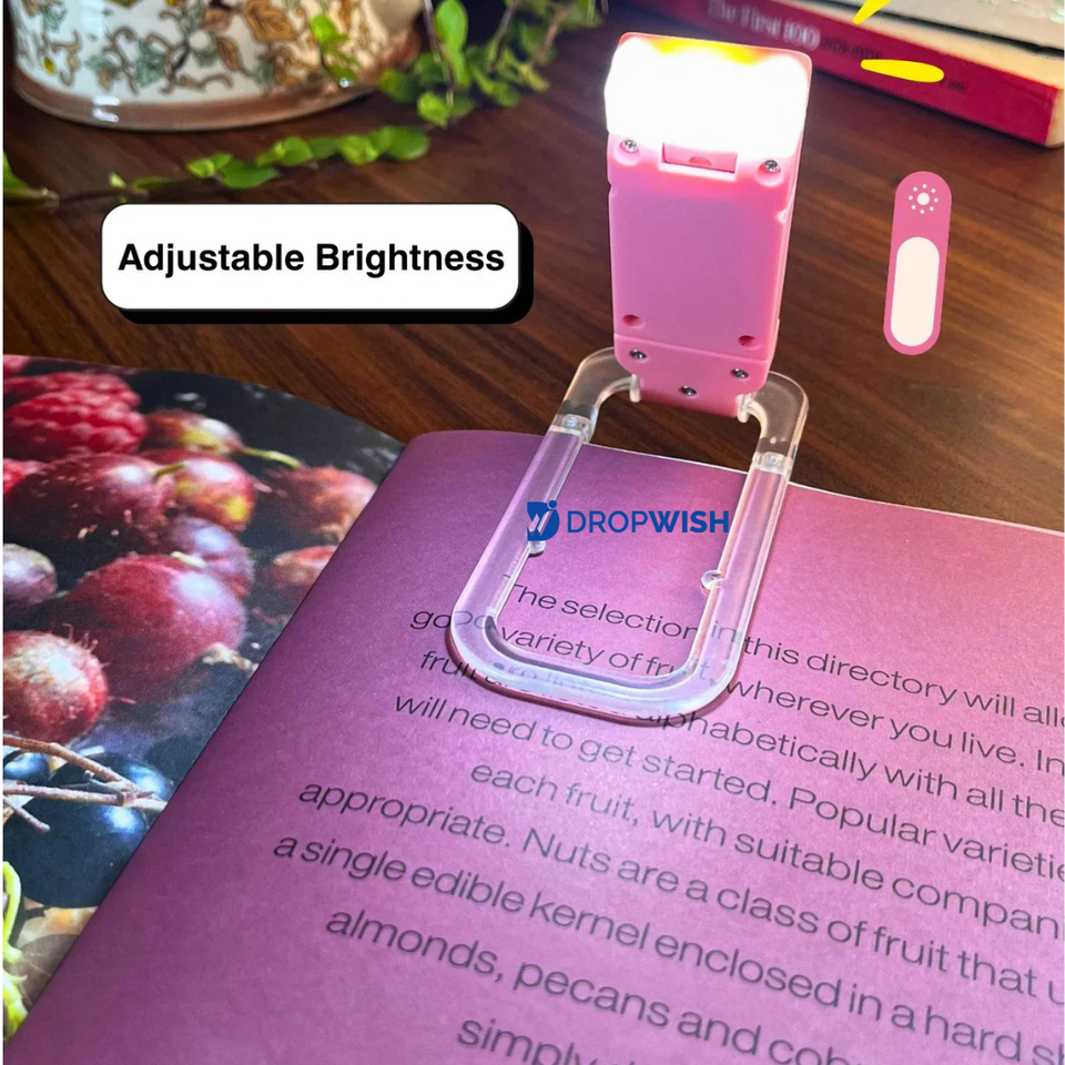 DW ReadLite™|Reachargable & Portable LED Light