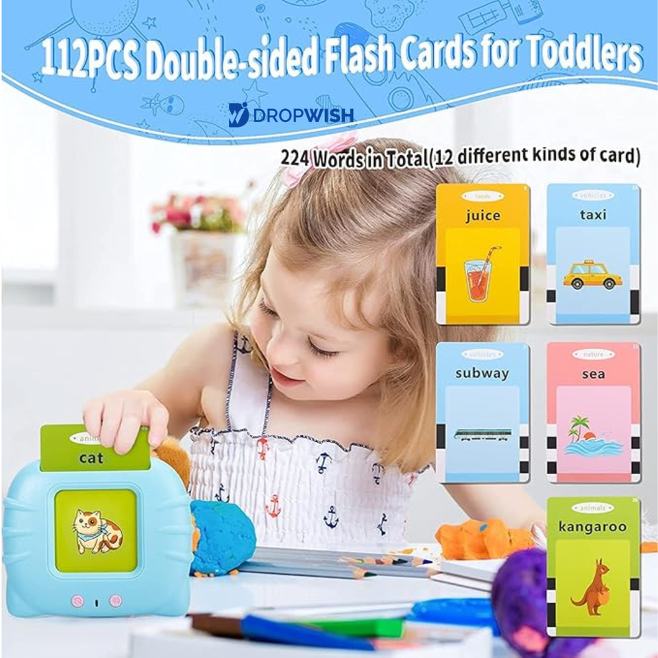 DW™ Talking Flash Cards Toy