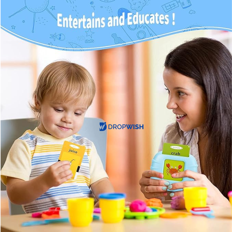 DW™ Talking Flash Cards Toy