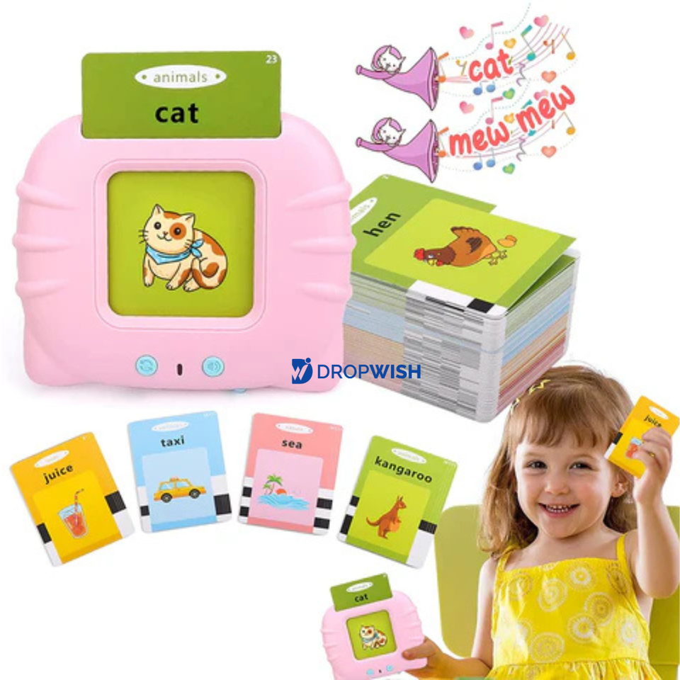 DW™ Talking Flash Cards Toy