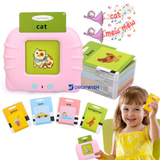 DW™ Talking Flash Cards Toy
