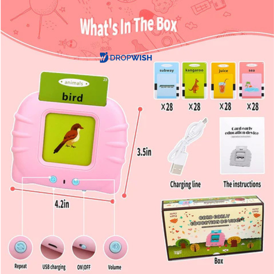 DW™ Talking Flash Cards Toy
