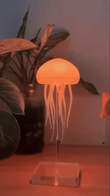 Jellyfish Lamp