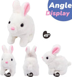 Hopster Bunny™